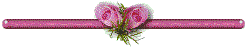 Rose bud